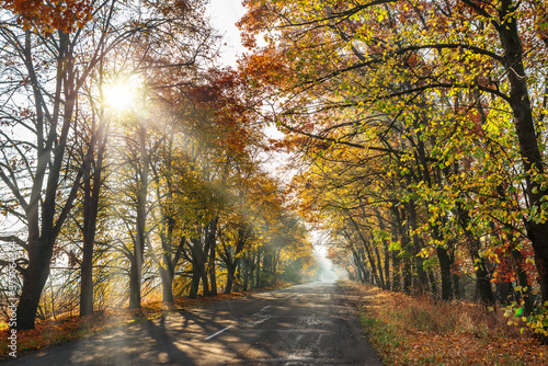 Beautiful autumn landscape with the road and the sun s rays of the setting sun.