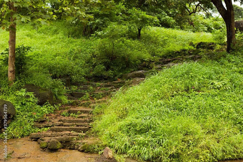 Obraz premium National Park