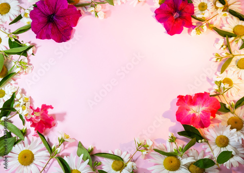 Composition of flowers on a pink background