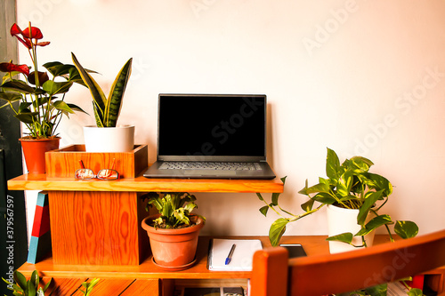 Green teleworking home plants decor