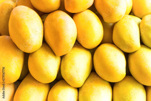 Yellow mango, many mangos on fruit market