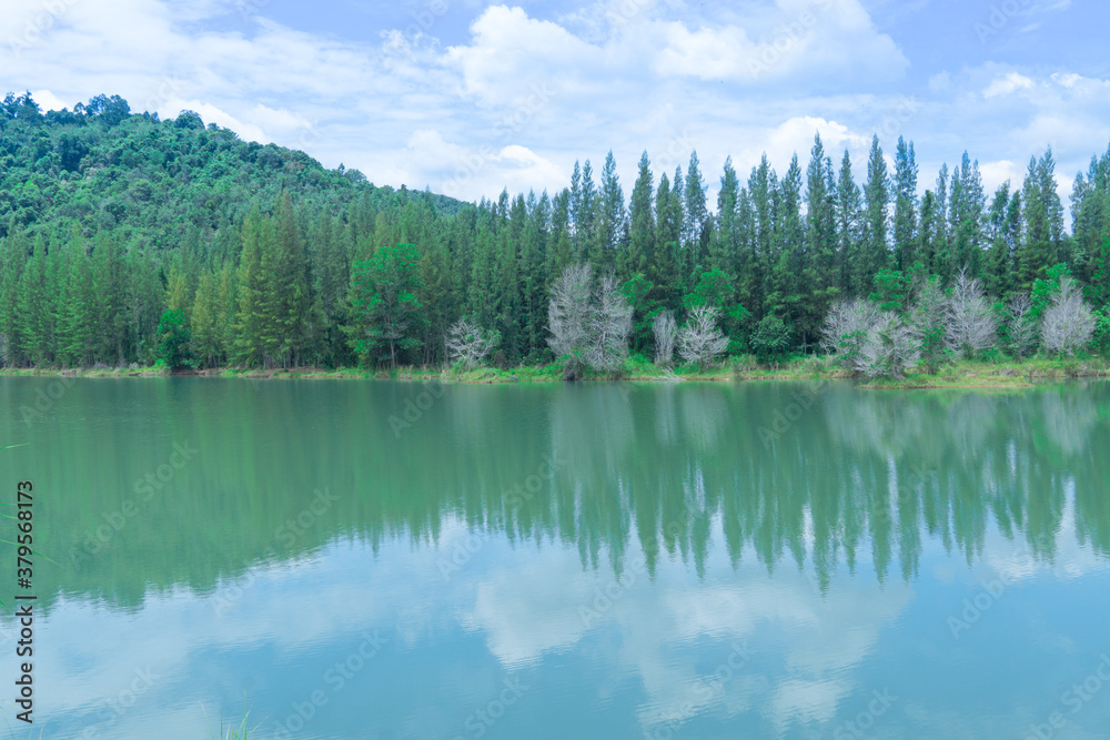 beautiful view of green pine forest and lake with trees and cloudy blue sky reflection, landscape of old mine Liwong in Chana, Songkhla, Thailand  