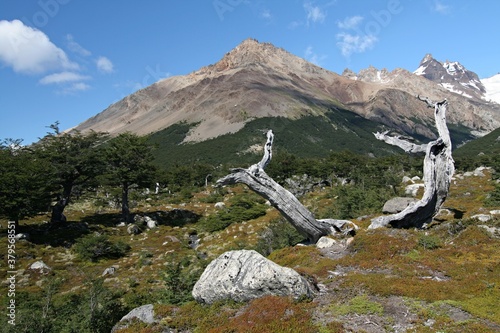 Beautiful natural scenery in the Los Glaciares National Park. Patagonia. Argentina. South America.