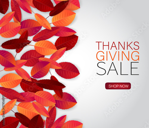 Happy Thanksgiving Day sale poster.  Background with red and orange fall leaves. American traditional november holiday. Banner for advertisement, promotion, invitation. 