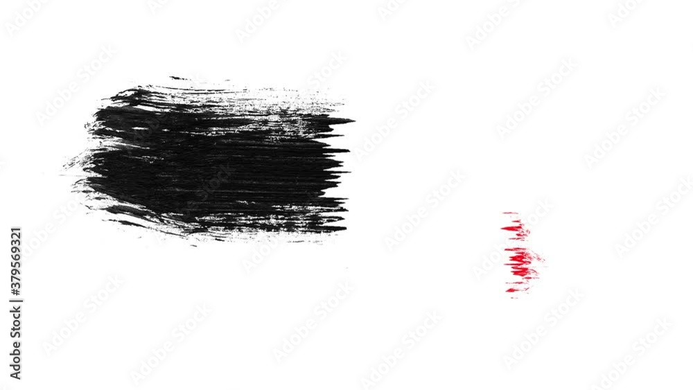 Black Friday Sale on White Fashion and Brush Background Black Friday Sale on White Fashion and Brush Background
