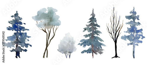 Snowy trees and shrubs, winter scene elements, bluish winter forest