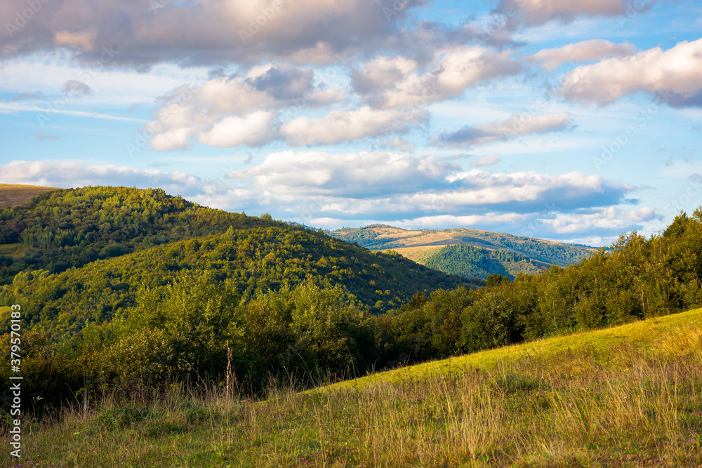 Obraz premium beautiful rural landscape in autumn. field on hillside in mountains in evening light