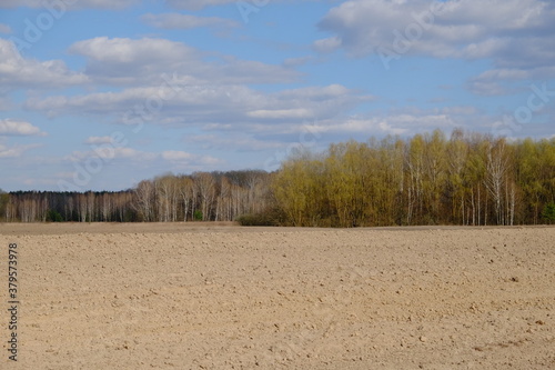 A sky with clouds over a plowed agricultural field. Forest near the field.