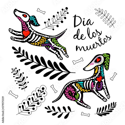 Wallpaper Mural Vector colorful postcard. Dia de los Muertos, Day of the dead or Halloween concept. Dog skeletons with floral design, isolated on white background Torontodigital.ca
