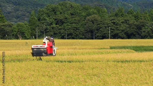 コンバインで稲刈りしている様子　秋田県