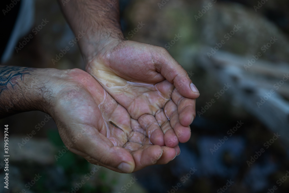 Fototapeta premium hands of the fish 