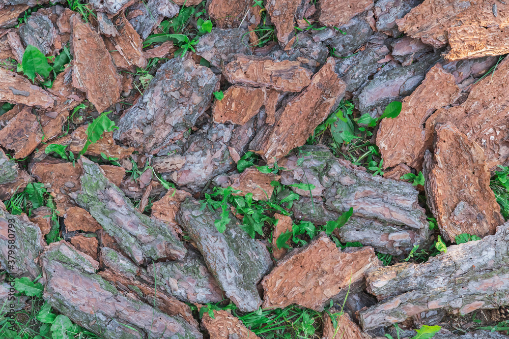 background of large pieces of wood bark that lies on the grass
