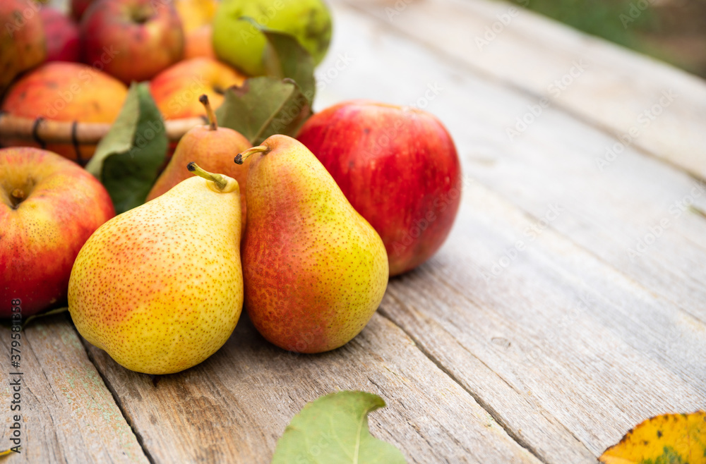 Fruits: apples and pears on old wooden table. Bio Healthy food. Fruits: apples and pears on old wooden table. Bio Healthy food.