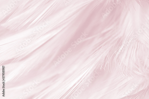 Beautiful violet feather pattern texture background , pastel color style
