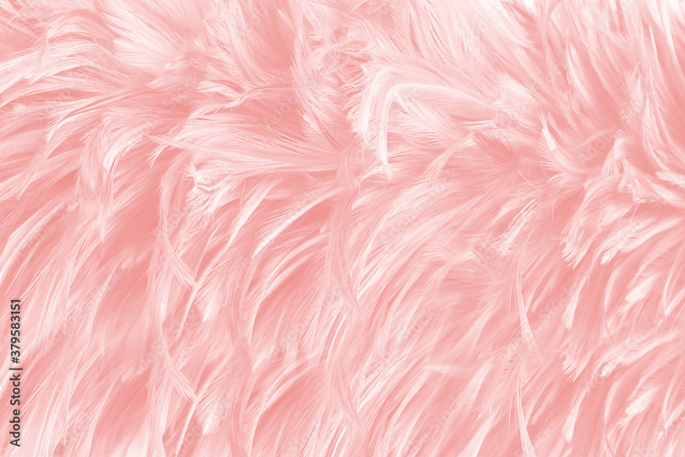 pink feather pattern texture background