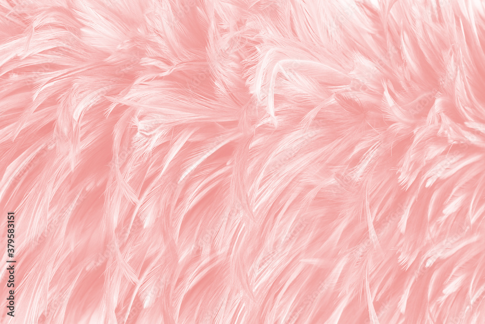 pink feather pattern texture background pink feather pattern texture background