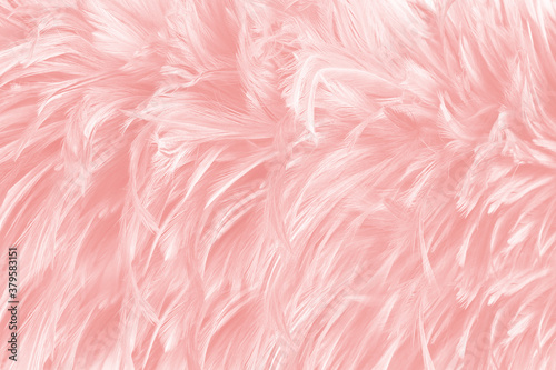pink feather pattern texture background © nadtytok28