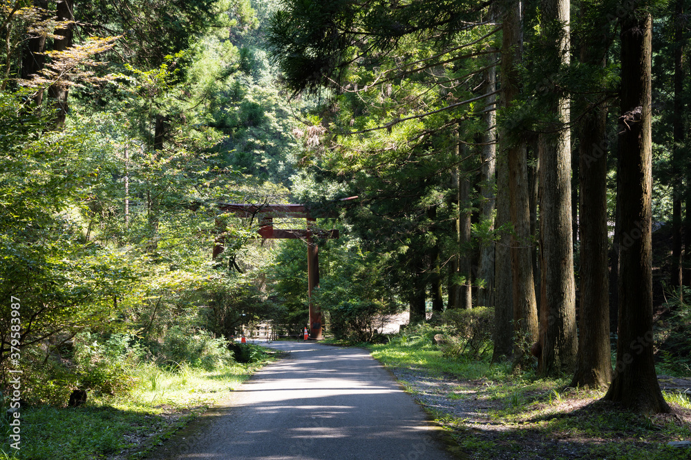 Fototapeta premium 名草 巨石群 2020 夏 栃木県 足利市 名草