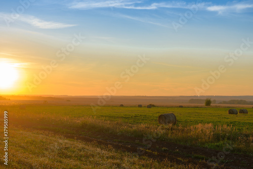 Colorful summer sunset over a mown field