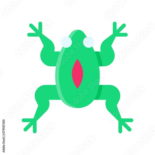 laboratory icon related laboratory frog for medical test vector in flat style,