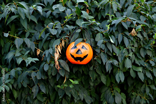 halloween jack o lantern © perminoffa