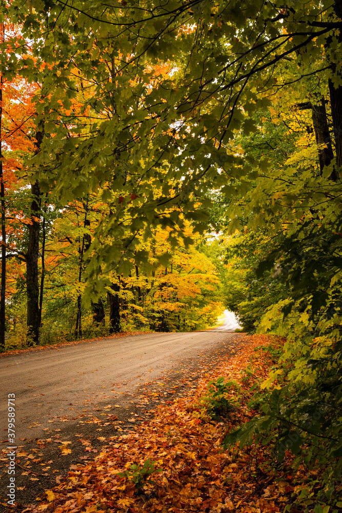 Obraz premium Empty country road in rural New England during Autumn with foliage changing to fall colors creating a tranquil contemplative scene