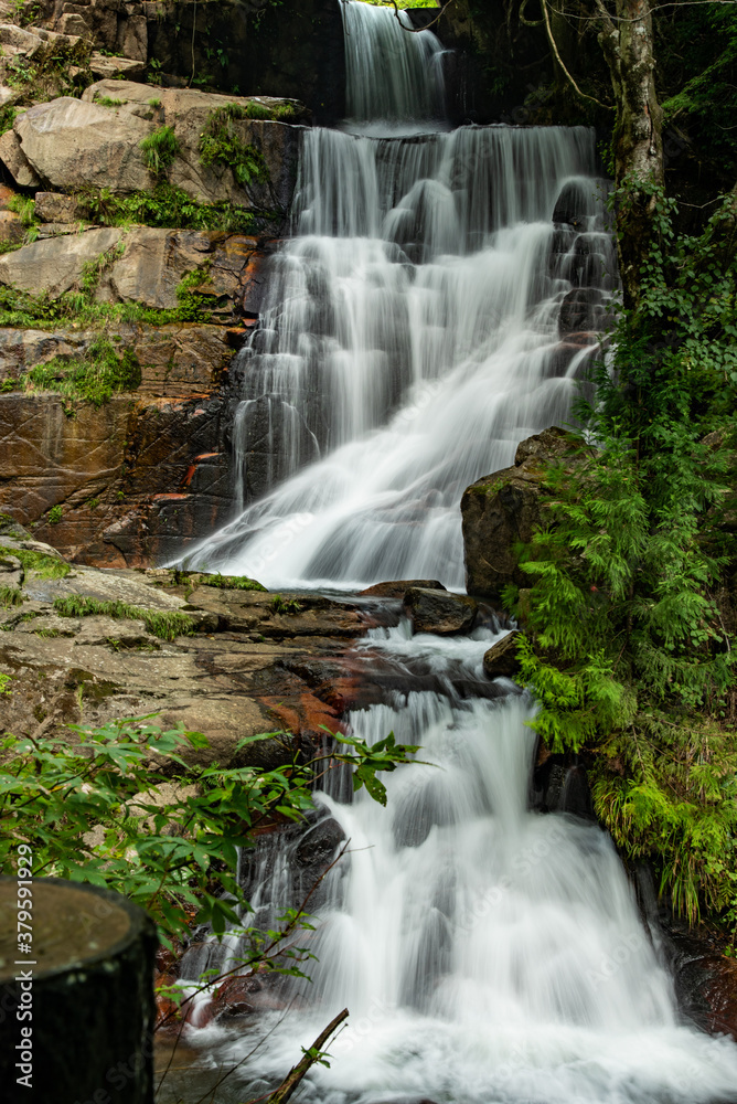 Obraz premium 広島県・深山峡 