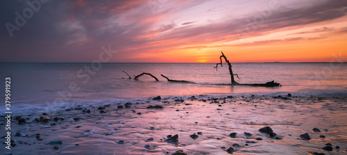 Sunset and driftwood on Sker Beach near Porthcawl, South Wales UK
 photo