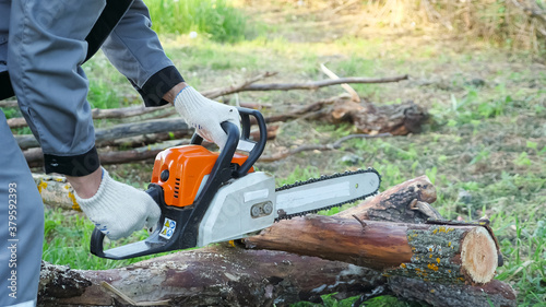Close-up of sawing a dry log with a chainsaw.