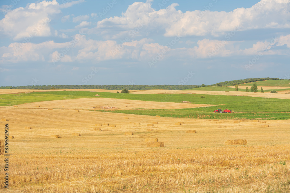 Picturesque summer landscape in the center of the Iberian Peninsula. Freshly mowed wheat field. The farmer collecting straw bales with his tractor.
