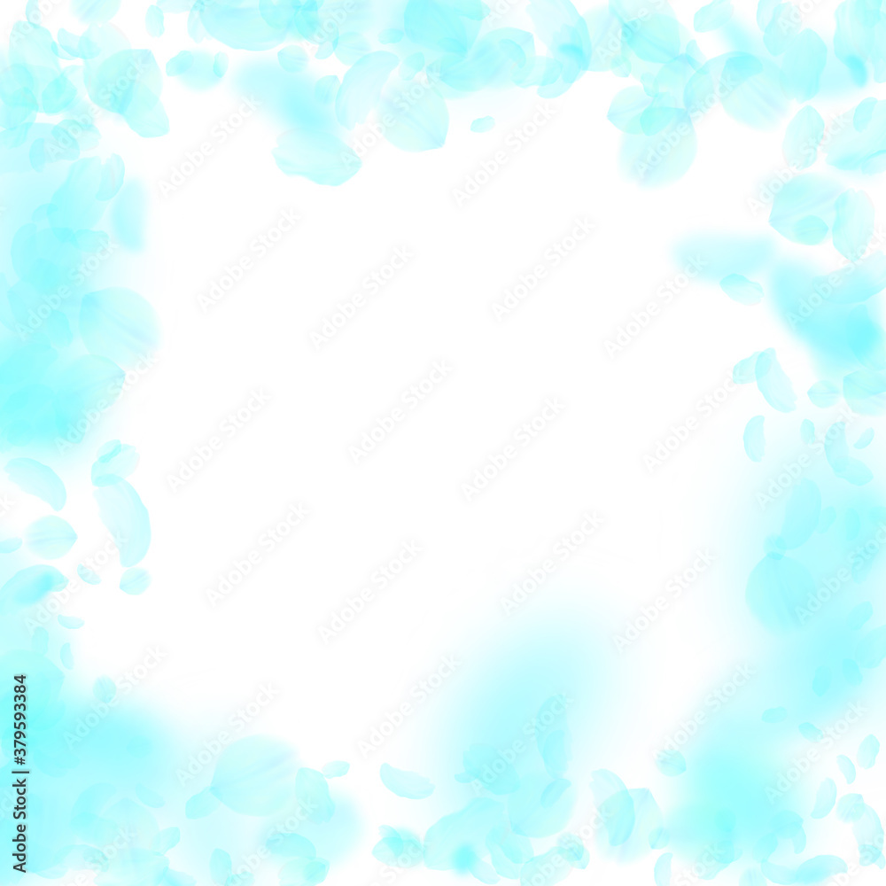 Turquoise flower petals falling down. Extraordinar Turquoise flower petals falling down. Extraordinar