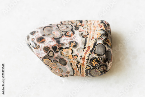 closeup of sample of natural mineral from geological collection - tumbled Leopard Skin Jasper (Jaguar Stone) rock on white marble background from Mexico