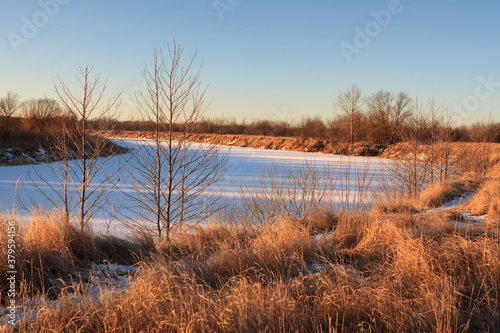 corn white field in winter at dawn © makam1969