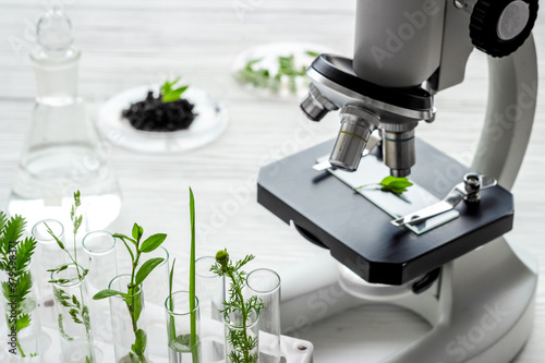 Testing plants and soil in biological laboratory