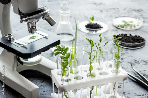 Biotechnology laboratory with plants and microscope on table.