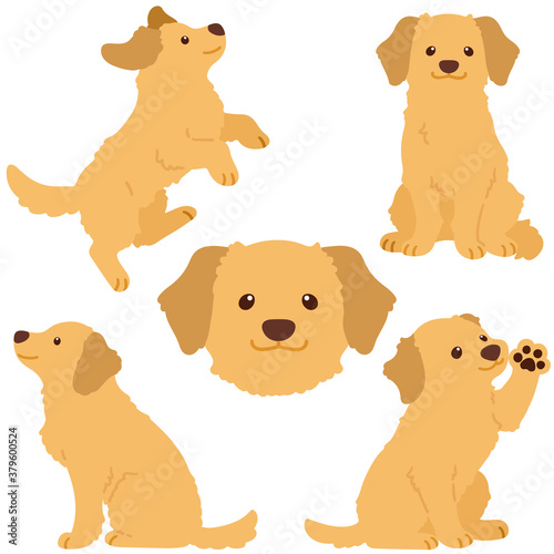 Set of cute flat colored Golden Retriever illustrations