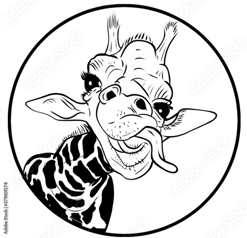 Canvas Print head of a funny giraffe sicking the tongue out