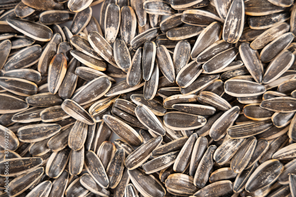 healthy sunflower seeds on white background healthy sunflower seeds on white background