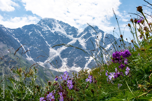 Caucasus, Elbrus, Cheget, mountains, sky, summer, vacation, vacation, happiness, sky, flowers, nature