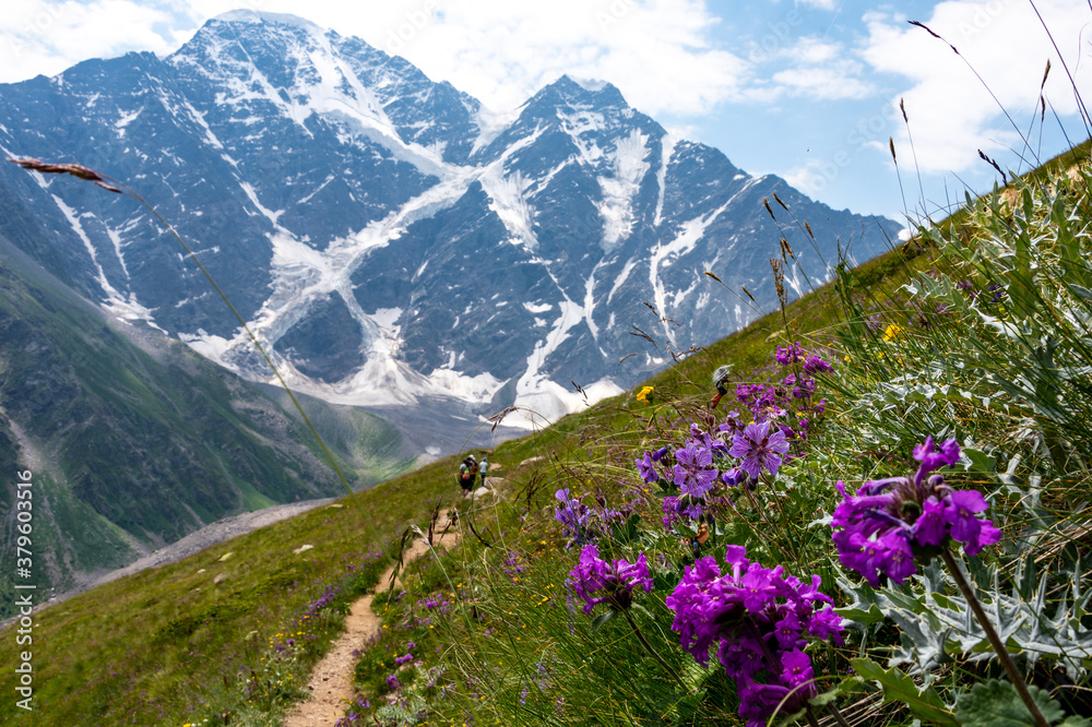 Caucasus, Elbrus, Cheget, mountains, sky, summer, vacation, vacation, happiness, sky, flowers, nature Caucasus, Elbrus, Cheget, mountains, sky, summer, vacation, vacation, happiness, sky, flowers, nature