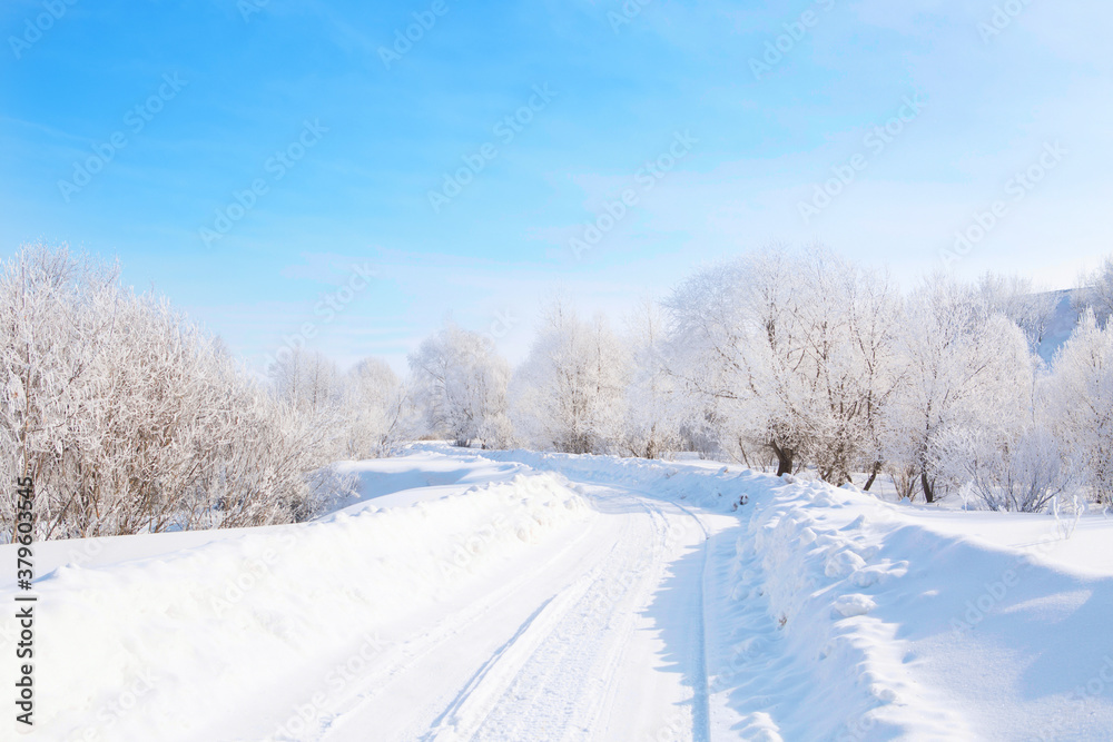 Obraz premium Frozen trees and branches . Beautiful white winter