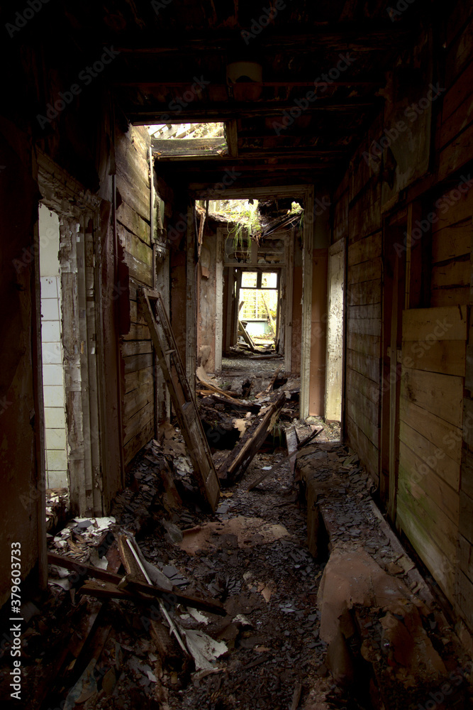 The ruins of an abandoned house.
Ruins of an old wooden abandoned house. The ruins of an abandoned house.
Ruins of an old wooden abandoned house.