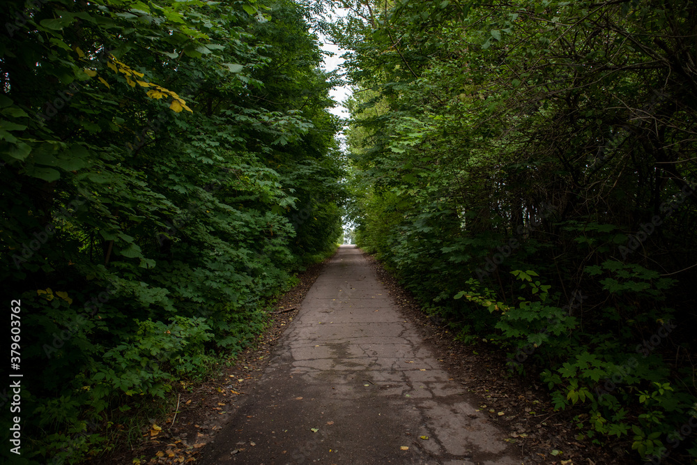 Photo of a footpath in a green park Photo of a footpath in a green park