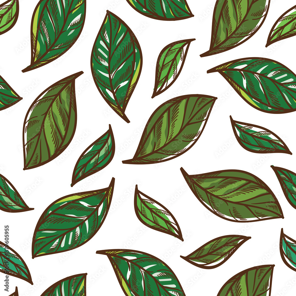 Naklejka premium Mint leaves spices and herbs for cooking seamless pattern