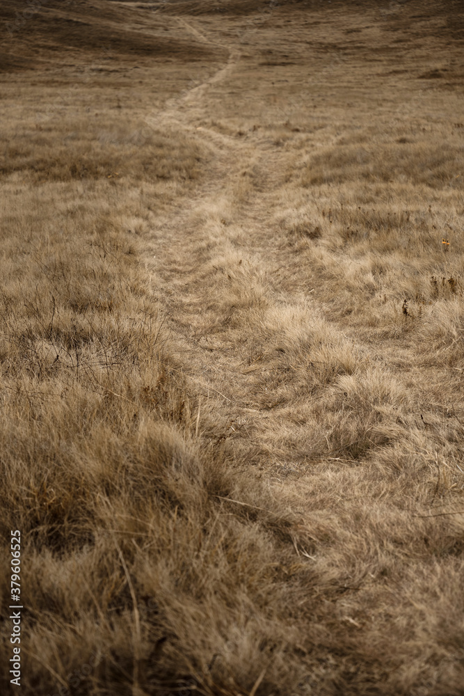 mountain road in the grass mountain road in the grass