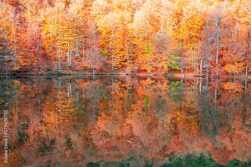 Autumn colors. Colorful fallen leaves in the lake. Magnificent landscape. Natonial Park. Photo taken on 10th November 2018 Yedigoller. Bolu, Istanbul, Turkey.