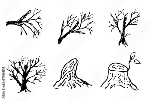 Simple 6 Vector hand draw Black dead tree and branch