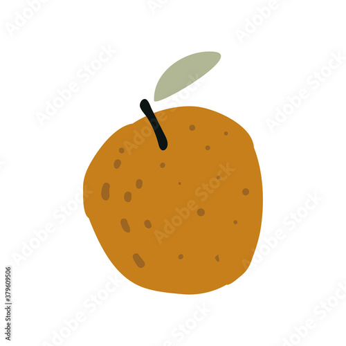 Orange fruit with leaf. Vector illustration. Citrus.