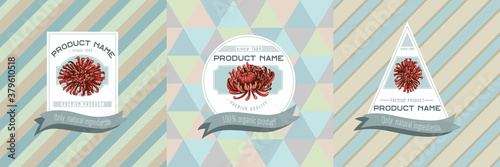 Three colored labels with illustration of aster