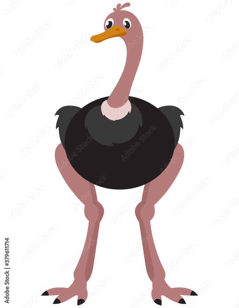 Fototapeta premium Standing ostrich front view. African animal in cartoon style.